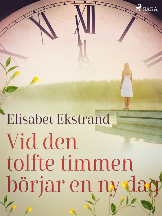 Vid den tolfte timmen börjar en ny dag (e-bok) av Elisabet Ekstrand