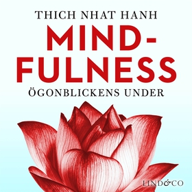 Mindfulness : ögonblickens under (ljudbok) av T