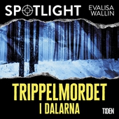 Trippelmordet i Dalarna