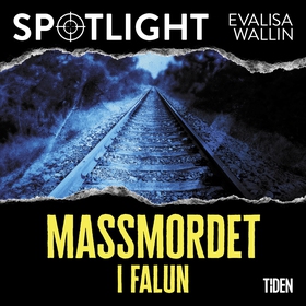 Massmordet i Falun (ljudbok) av Evalisa Wallin