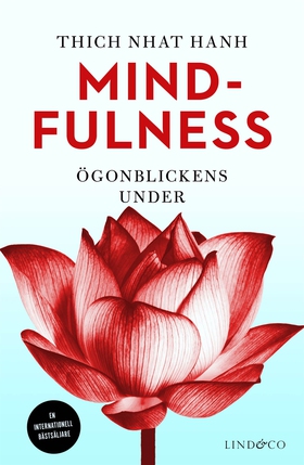 Mindfulness : Ögonblickens under (e-bok) av Thi