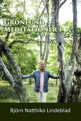 Grönlund Mediationer 1 (ljudbok) av Björn Natth
