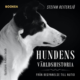 Hundens världshistoria (ljudbok) av Stefan Reit
