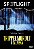 Trippelmordet i Dalarna