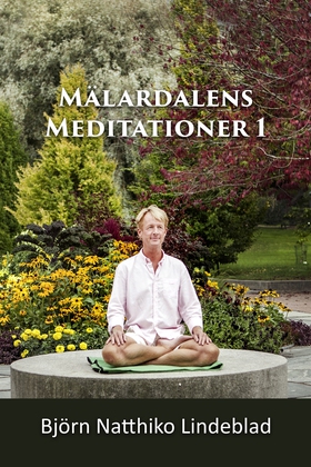 Mälardalens Meditationer 1 (ljudbok) av Björn N