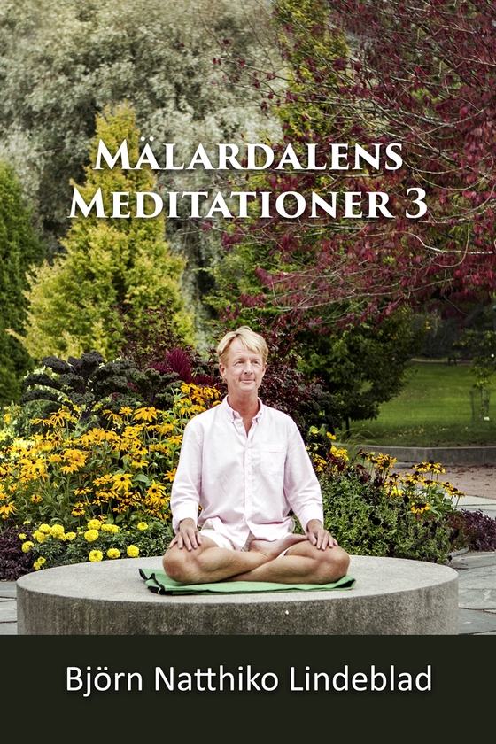 Mälardalens Meditationer 3