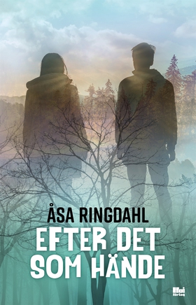 Efter det som hände (e-bok) av Åsa Ringdahl