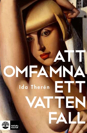 Att omfamna ett vattenfall (e-bok) av Ida Theré