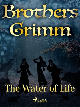 The Hut in the Forest (e-bok) av Brothers Grimm