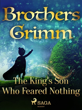 The King's Son Who Feared Nothing (e-bok) av Br