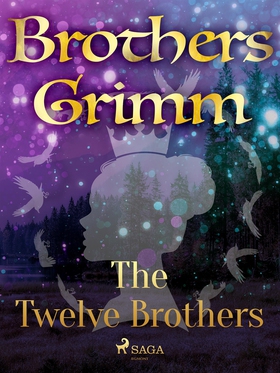 The Twelve Brothers (e-bok) av Brothers Grimm