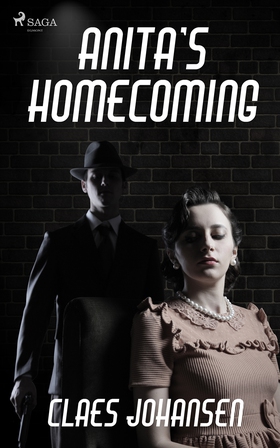 Anita’s Homecoming (e-bok) av Claes Johansen