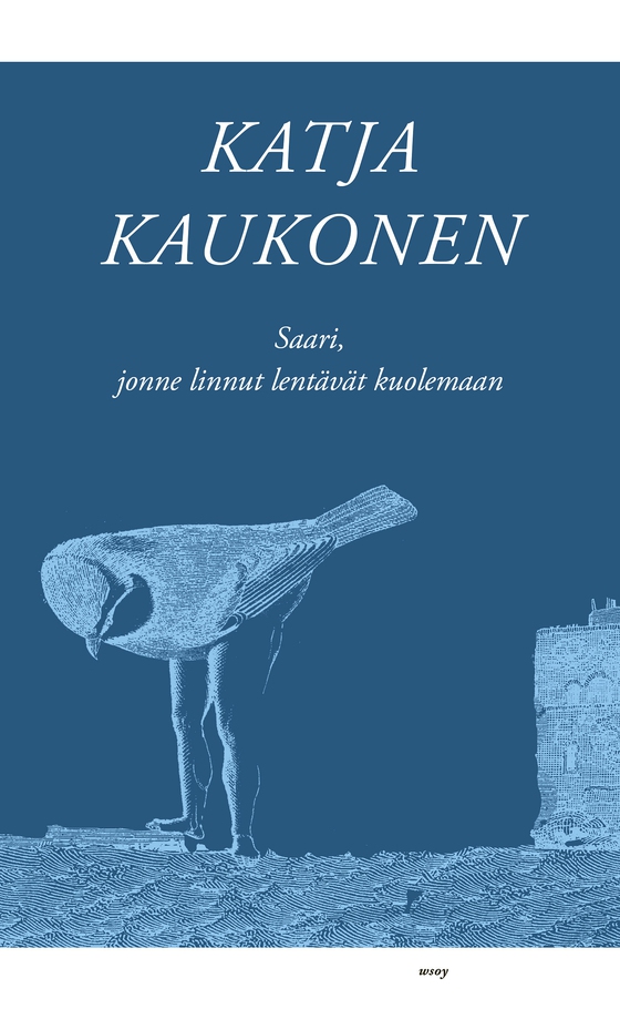 Saari, jonne linnut lentävät kuolemaan (e-bok) av Katja Kaukonen