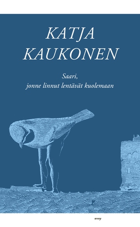 Saari, jonne linnut lentävät kuolemaan (e-bok) 