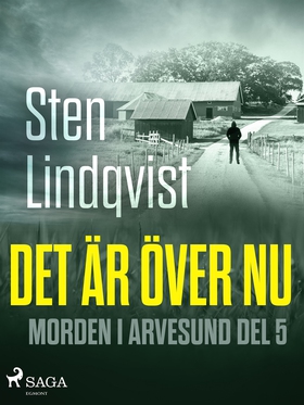 Det är över nu (e-bok) av Sten Lindqvist