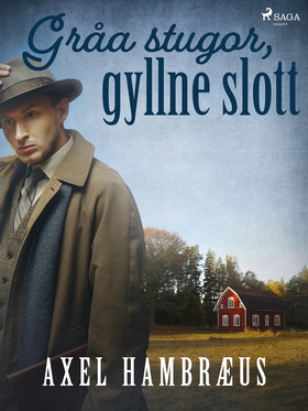 Gråa stugor, gyllne slott (e-bok) av Axel Hambr