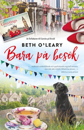 Bara på besök (e-bok) av Beth O'Leary