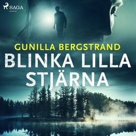 Blinka lilla stjärna (ljudbok) av Gunilla Bergs