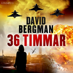 36 timmar (ljudbok) av David Bergman