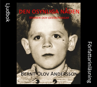 Den osynliga nåden (ljudbok) av Bernt-Olov Ande