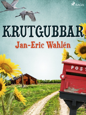 Krutgubbar (e-bok) av Jan-Eric Wahlén
