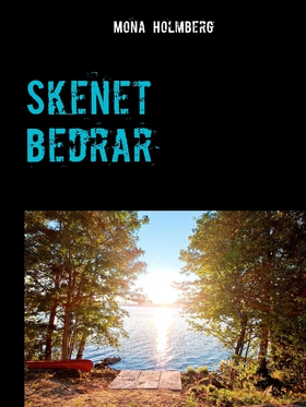 Skenet bedrar (e-bok) av Mona Holmberg