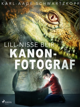 Lill-Nisse blir kanonfotograf (e-bok) av Karl-A