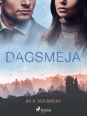 Dagsmeja (e-bok) av Bo R. Holmberg