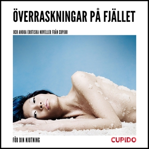 Överraskningar på fjället – och andra erotiska