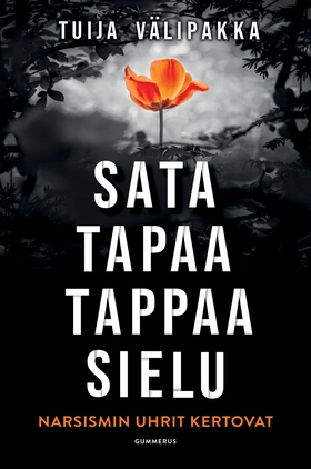 Sata tapaa tappaa sielu (e-bok) av Tuija Välipa