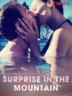 Surprise in the Mountain (e-bok) av Cupido