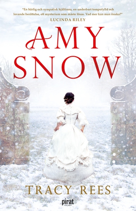 Amy Snow (e-bok) av Tracy Rees