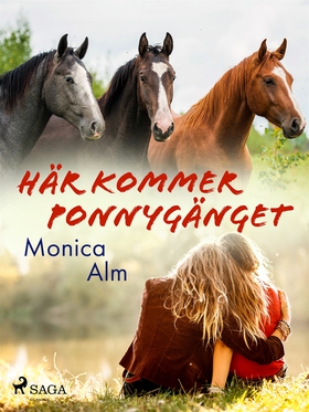 Här kommer Ponnygänget (e-bok) av Rune Olausson