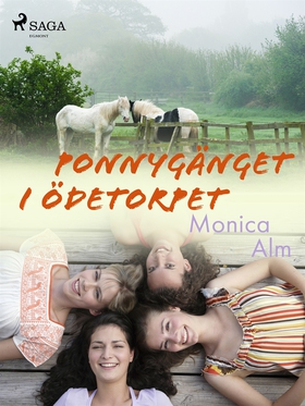 Ponnygänget i ödetorpet (e-bok) av Rune Olausso