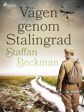 Vägen genom Stalingrad (e-bok) av Staffan Beckm