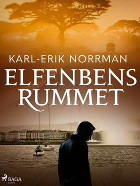 Elfenbensrummet (e-bok) av Karl-Erik Norrman