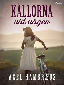 Källorna vid vägen (e-bok) av Axel Hambræus