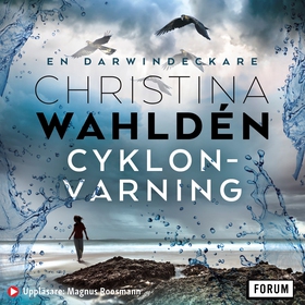 Cyklonvarning (ljudbok) av Christina Wahldén