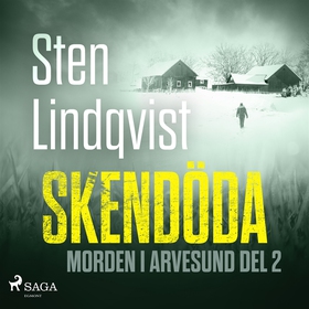 Skendöda (ljudbok) av Sten Lindqvist