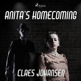 Anita’s Homecoming (ljudbok) av Claes Johansen