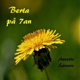 Berta på 7an (ljudbok) av Annette Larsson
