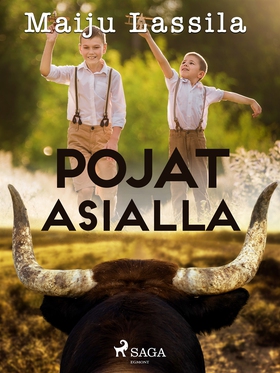 Pojat asialla (e-bok) av Maiju Lassila