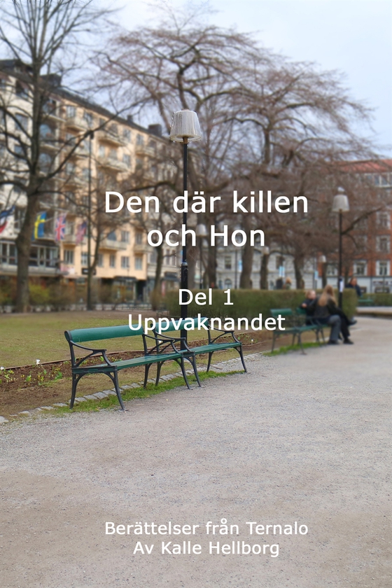 Den där killen och Hon - Uppvaknandet: Berättelser från Ternalo