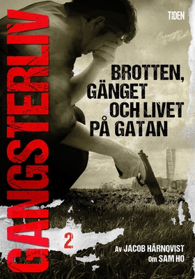 Gangsterliv 2: Brotten, gänget och livet på gat