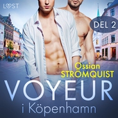 Voyeur i Köpenhamn 2 - erotisk novell