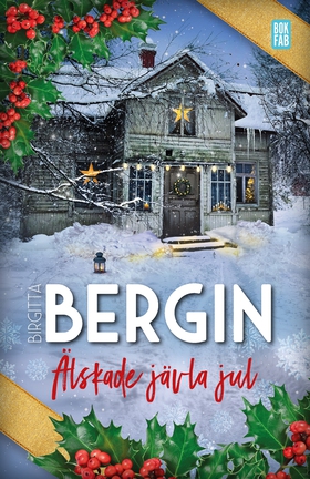 Älskade jävla jul (e-bok) av Birgitta Bergin