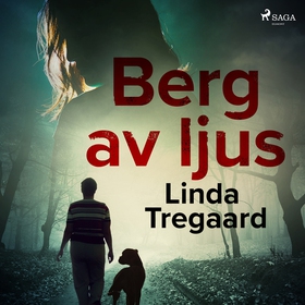 Berg av ljus (ljudbok) av Linda Tregaard