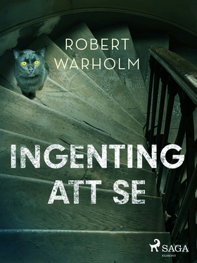 Ingenting att se (e-bok) av Robert Warholm