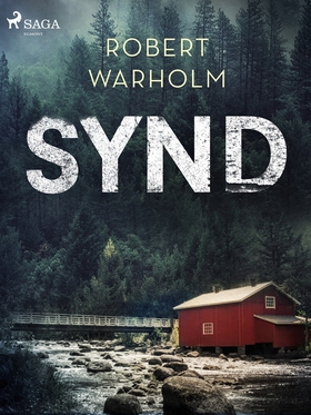 Synd (e-bok) av Robert Warholm