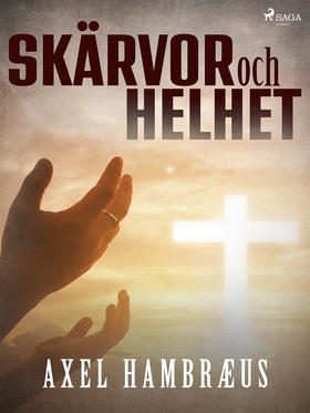 Skärvor och helhet (e-bok) av Axel Hambræus